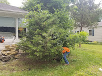 J&T's Lawn Service LLC - Photo 6 - Car repair in Aberdeen Township, NJ, Staten Island