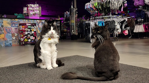 Used Clothing Store «iconoCLAD», reviews and photos, 414 300 S, Salt Lake City, UT 84111, USA