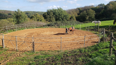 La Ferme des Potirons à Saint-Pierre-du-Lorouër