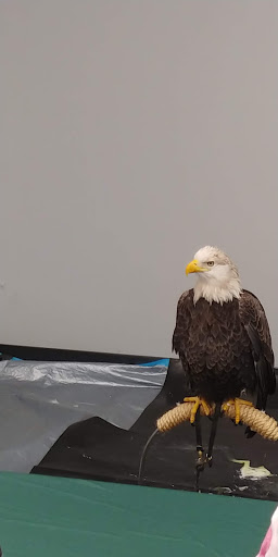 Convention Information Bureau «Alton Regional Convention & Visitors Bureau», reviews and photos, 200 Piasa St, Alton, IL 62002, USA