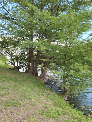 Corporate Office «Hill Country Arts Foundation», reviews and photos, 120 Point Theatre Rd S, Ingram, TX 78025, USA