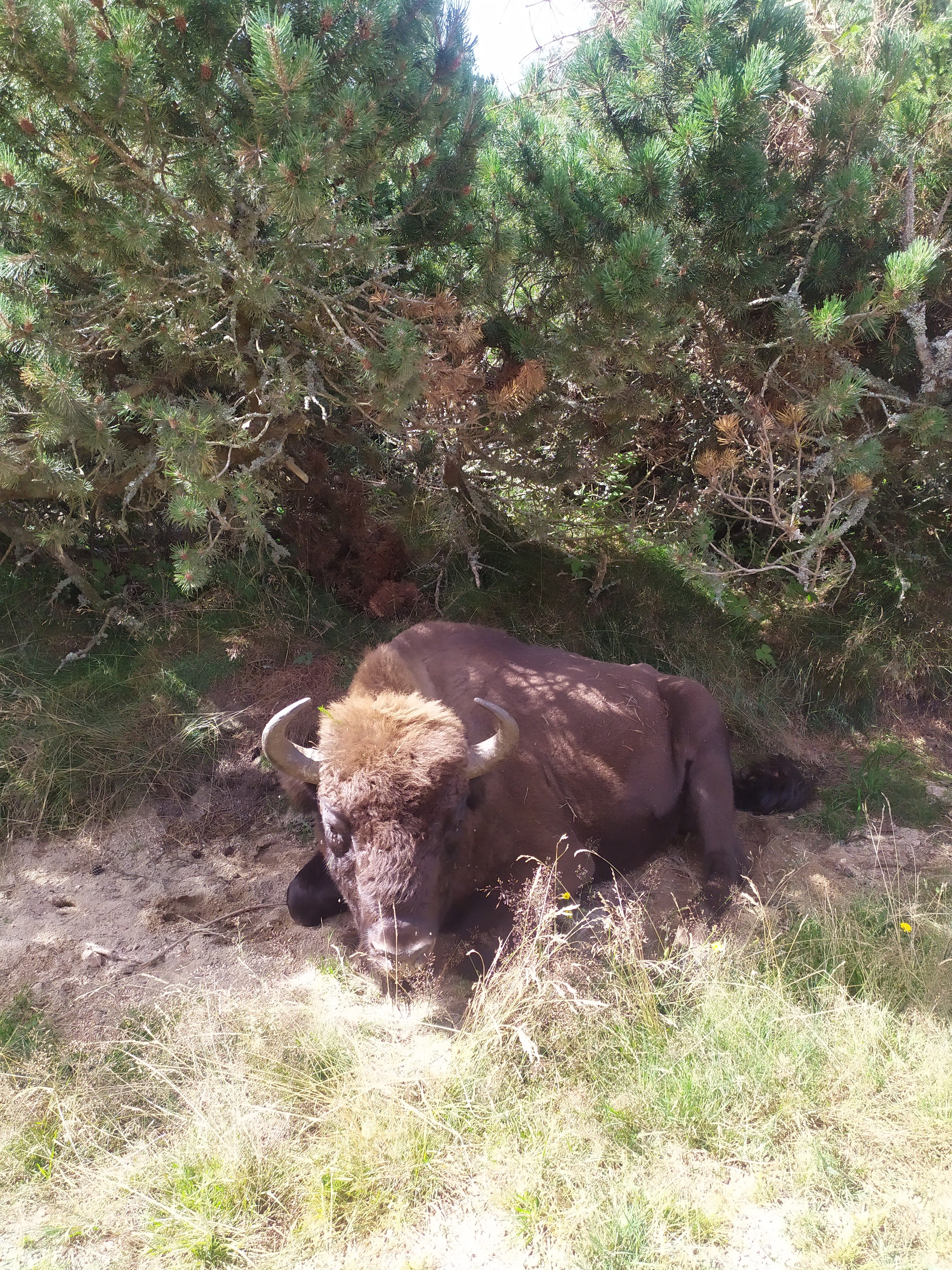 Photo n° 1 de l'avis de Angel.� fait le 19/08/2023 à 17:20