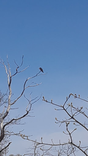 Nature Preserve «Welwyn Preserve», reviews and photos, 100 Crescent Beach Rd, Glen Cove, NY 11542, USA