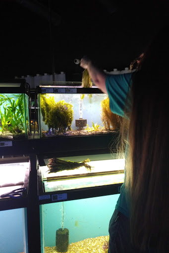 Pet Store «Aquarium», reviews and photos, 6410 Papermill Pl Way, Knoxville, TN 37919, USA