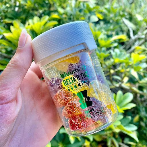 Tobacco Shop «Carbon Glass Tech Smoke Shop», reviews and photos, 5840 Stirling Rd, Hollywood, FL 33021, USA