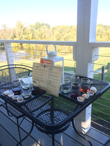 Winery «Gravity Vineyards and Winery», reviews and photos, 10220 Lauer Rd, Baroda, MI 49101, USA