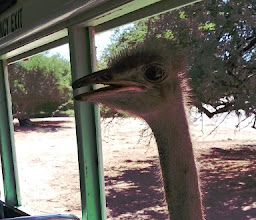 Ecological Center of Sonora photo