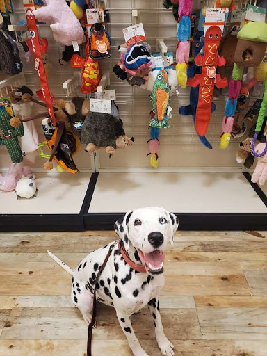 Department Store «HomeGoods», reviews and photos, 3377 U.S. 190, Mandeville, LA 70471, USA