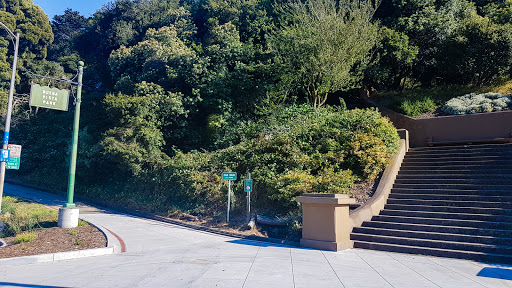 Park «Buena Vista Park», reviews and photos, Buena Vista & Haight Street, San Francisco, CA 94117, USA