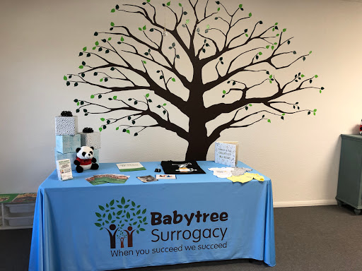 Babytree Surrogacy