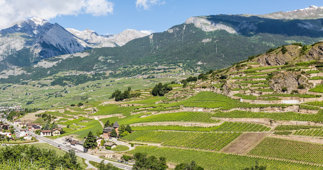 Domaine du Mont d'Or - Kurierdienst