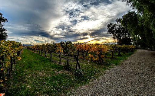 Winery «Retzlaff Vineyards», reviews and photos, 1356 S Livermore Ave, Livermore, CA 94550, USA