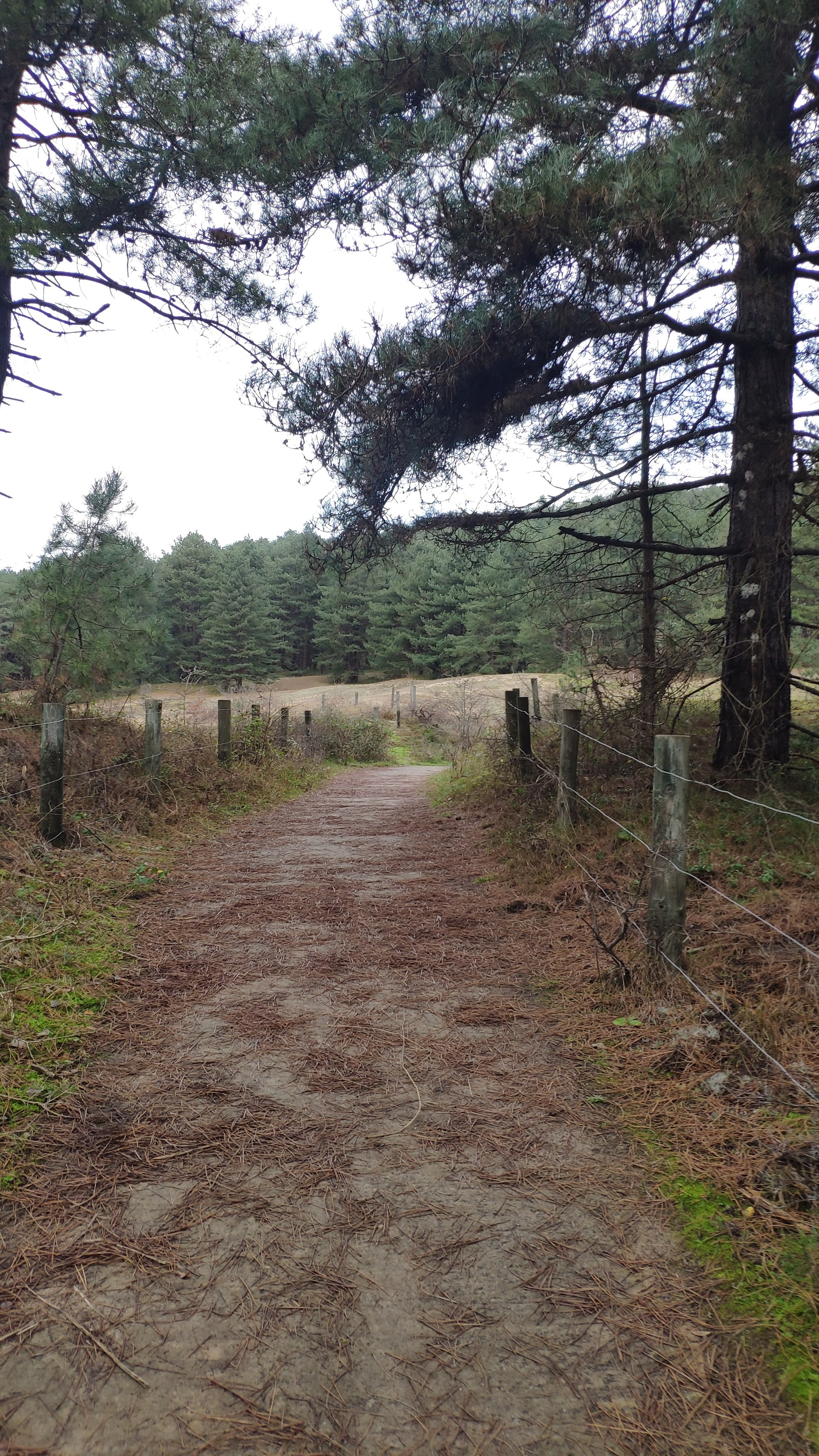 Photo n° 6 de l'avis de Vince.e fait le 01/01/2022 à 17:32