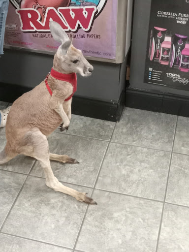 Tobacco Shop «Chiefs smoke and toys», reviews and photos, 13800 Cypress North Houston Rd, Cypress, TX 77429, USA