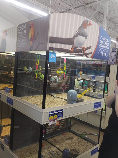 Pet Supply Store «PetSmart», reviews and photos, 160 Wadsworth Blvd, Lakewood, CO 80226, USA