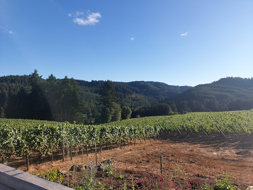 Winery «High Pass Winery», reviews and photos, 24757 Lavell Rd, Junction City, OR 97448, USA