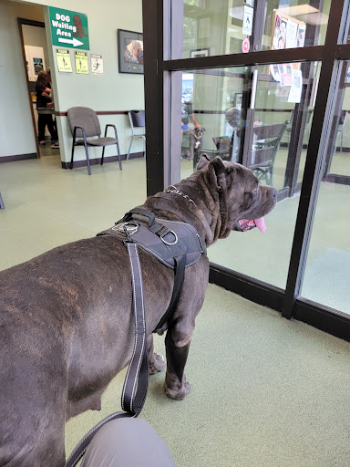 Green Valley Animal Hospital image