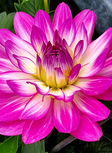 Home Improvement Store «The Home Depot», reviews and photos, 7 N Park Dr, Newton, NJ 07860, USA