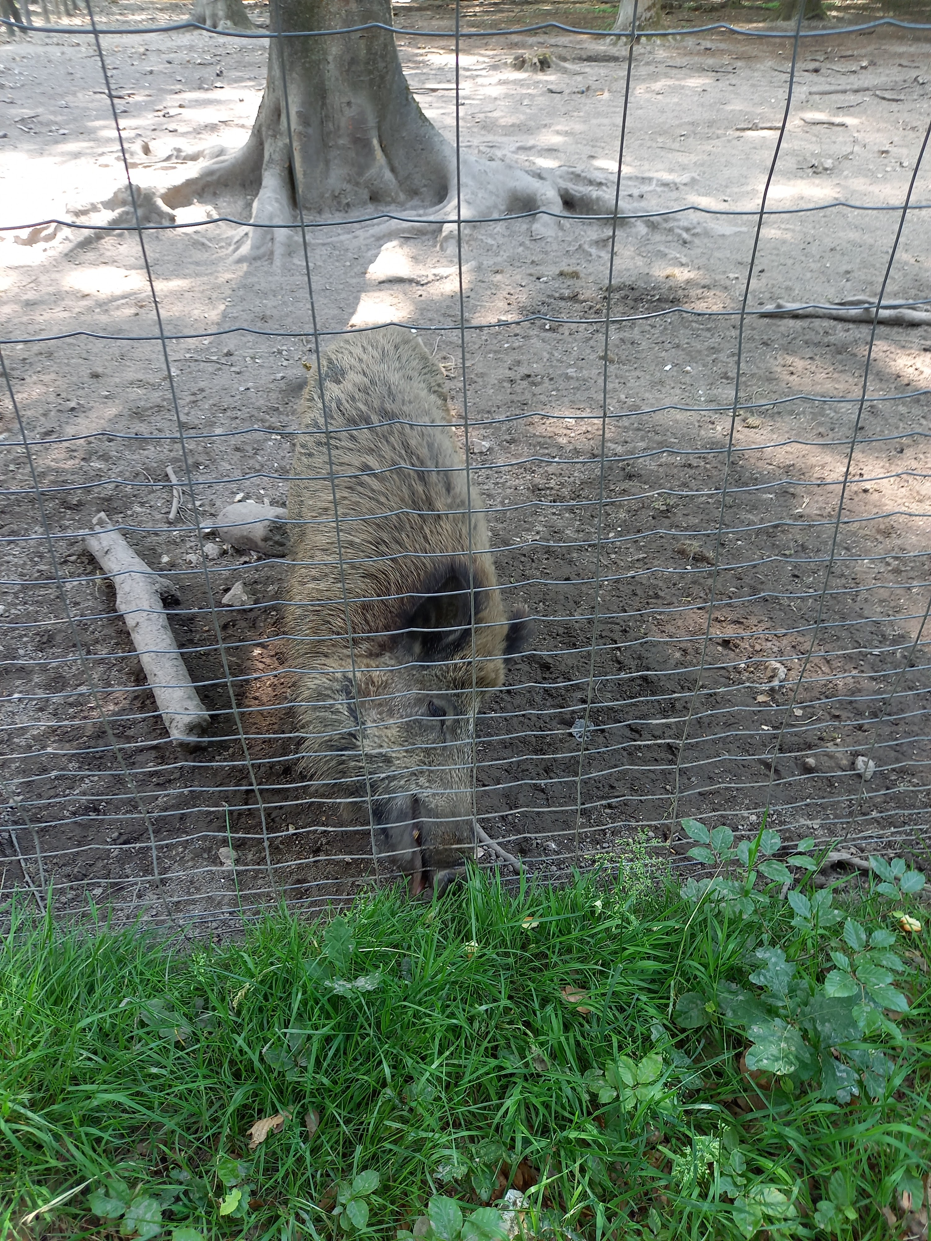 Photo n° 1 de l'avis de Gerard.a fait le 15/06/2021 à 16:34