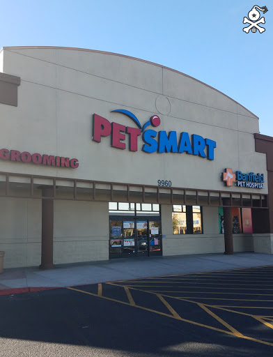 PetSmart, 9960 N 91st Ave, Peoria, AZ 85345, USA, 