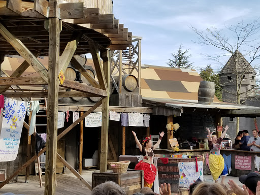 Festival «Pennsylvania Renaissance Faire», reviews and photos, 2775 Lebanon Rd, Manheim, PA 17545, USA