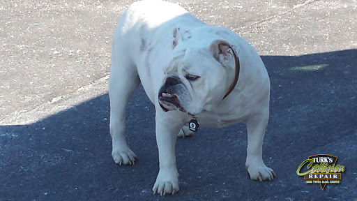 Auto Body Shop «Turks Collision Repair», reviews and photos, 508 Twin Rail Dr, Minooka, IL 60447, USA