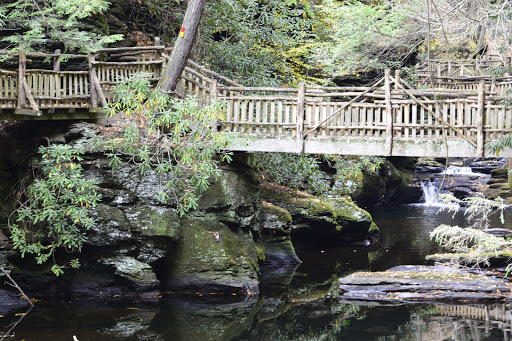 Pet Store «Abrams and Weakley General Store for Animals», reviews and photos, 3963 N 6th St, Harrisburg, PA 17110, USA