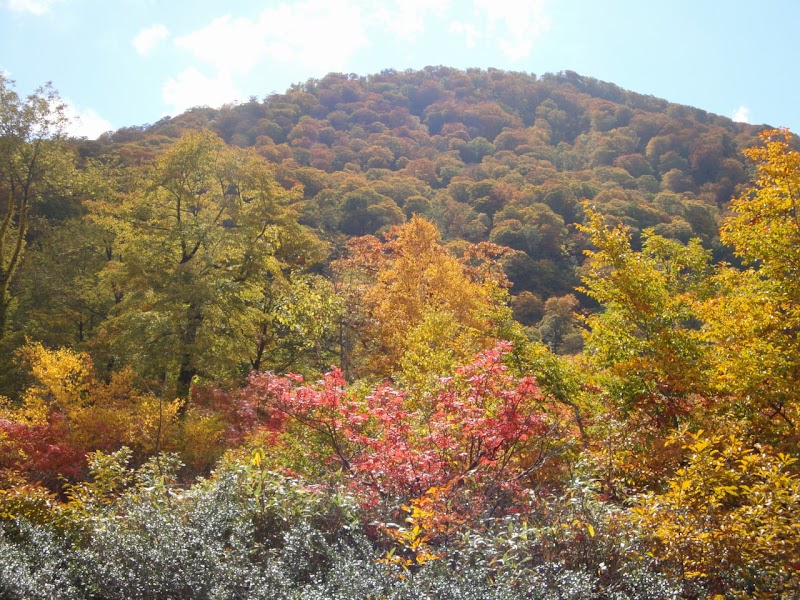 田苗代湿原