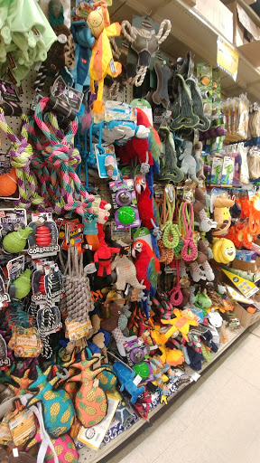 Discount Store «Ocean State Job Lot», reviews and photos, 201 College Hwy, Southwick, MA 01077, USA