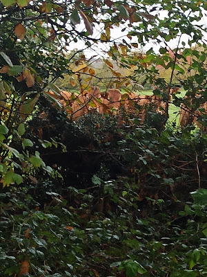 La ferme de la rhumerie à Abbaretz