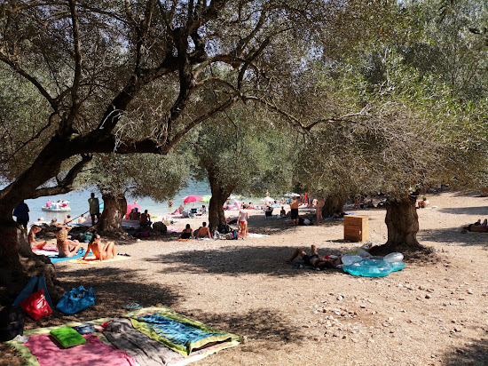 Foki beach
