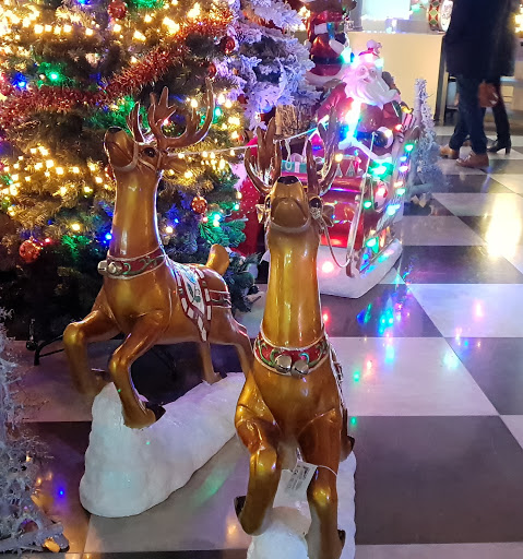 Christmas shops in Antwerp