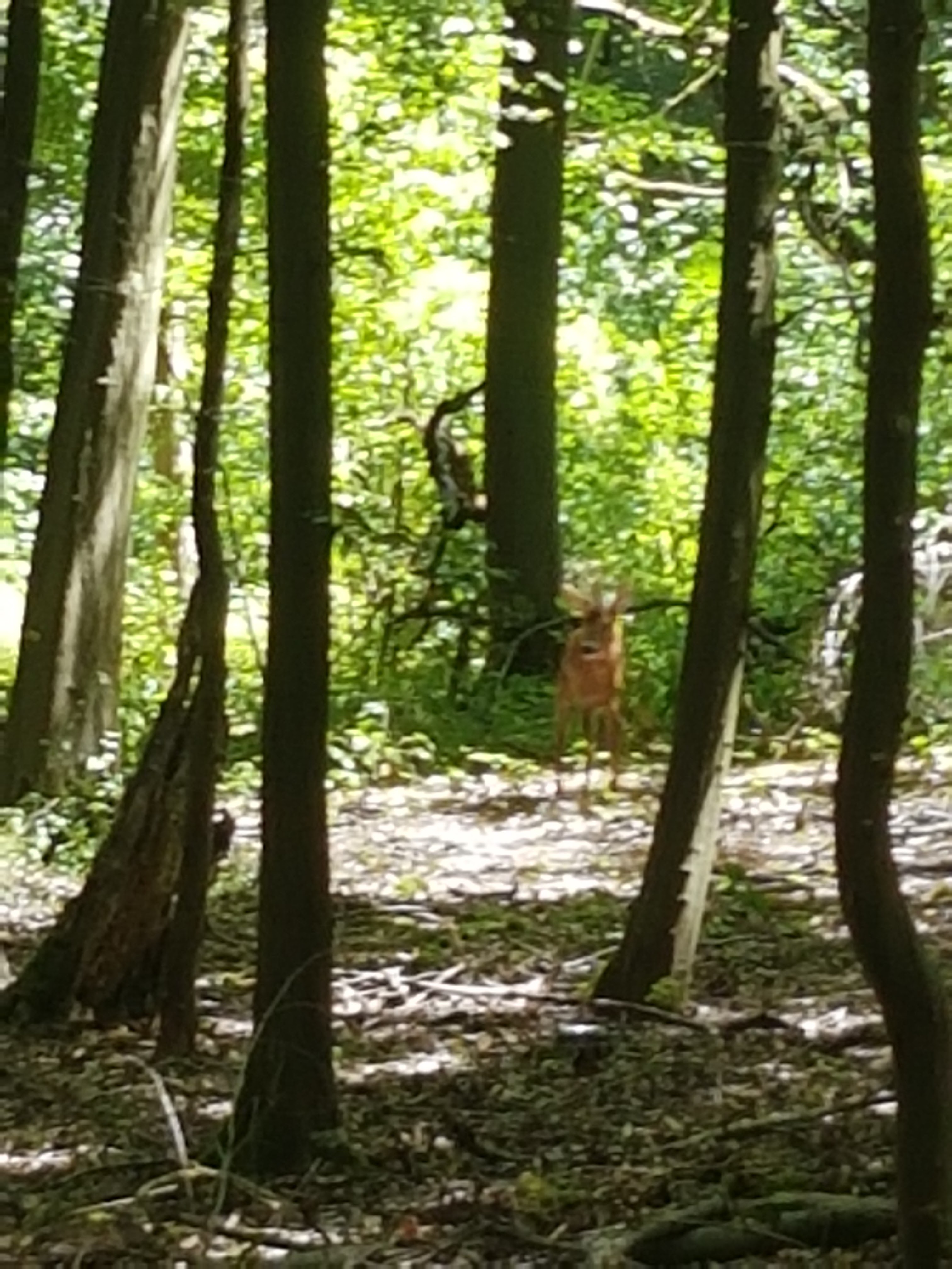 Photo n° 2 de l'avis de Slim.L fait le 29/07/2020 à 14:47