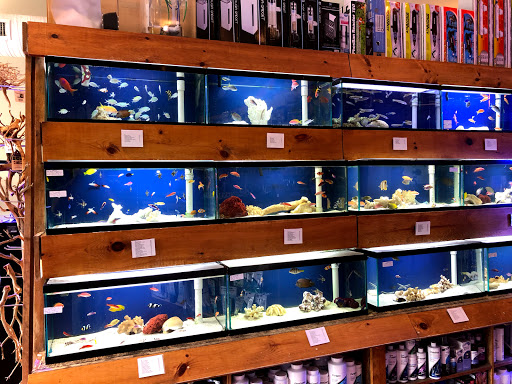 Tropical Fish Store «House of Fins», reviews and photos, 99 Bruce Park Ave, Greenwich, CT 06830, USA