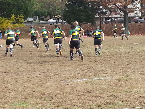 Rugby New Haven