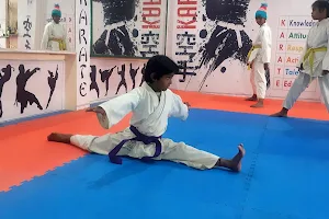 Globle karate Academy The DOJO image