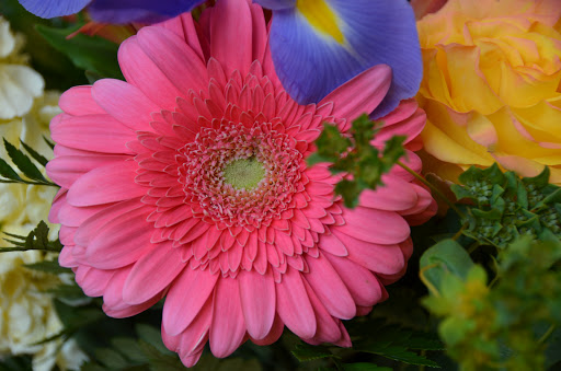 Florist «Four Seasons Florist», reviews and photos, 2141 Wilma Rudolph Blvd D, Clarksville, TN 37040, USA