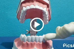 Dental+Health image