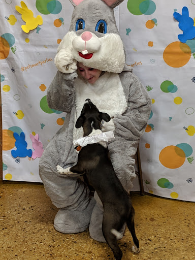 Pet Supply Store «PetSmart», reviews and photos, 1110 NY-112, Port Jefferson Station, NY 11776, USA