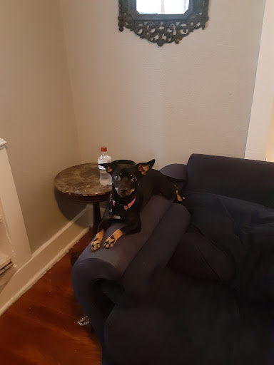 Animal Shelter «The Humane Society of Greater Kansas City», reviews and photos