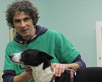 Veterinary practice Rhinow - Jan Osterloh unter Rhinow, Brandenburg