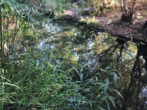 Golf Course «Balboa Golf Course», reviews and photos, 16821 Burbank Blvd, Encino, CA 91436, USA