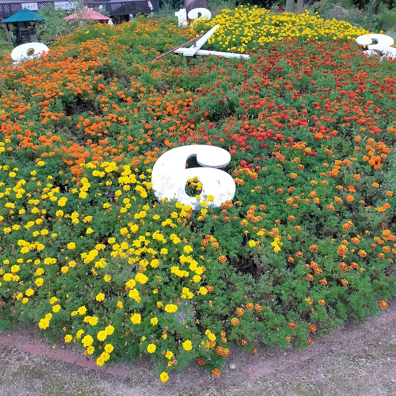 香山ラベンダーの丘 広島県世羅町別迫 庭園 グルコミ