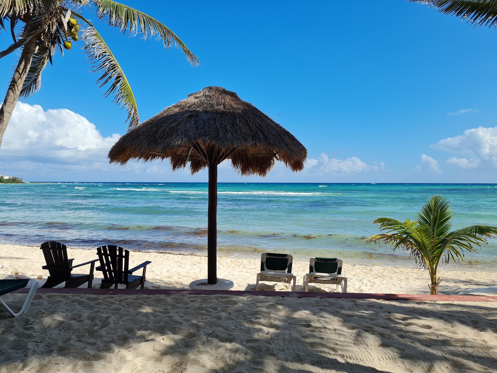Foto di Playa Caribe con molto pulito livello di pulizia