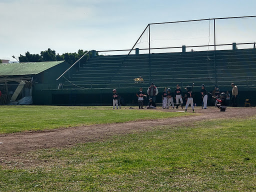 Estadio De Beisbol