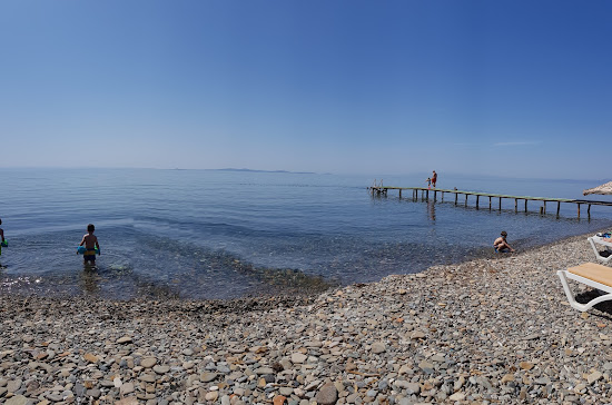 Neverland Camp beach