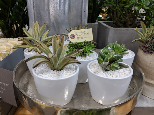 Florist «King florist of Austin», reviews and photos, 1806 W Koenig Ln, Austin, TX 78756, USA