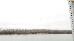 Skate Park - photo 14