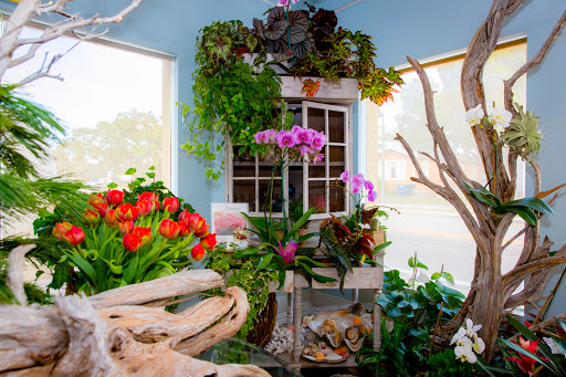 Florist «Dana Dineen Floral Design», reviews and photos, 504 N Fort Harrison Ave, Clearwater, FL 33755, USA