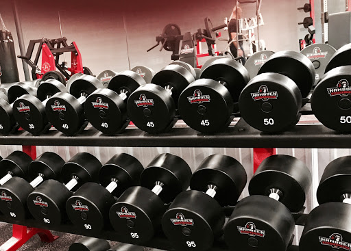 Gym «Hambden Health & Fitness», reviews and photos, 13940 Grand Army of the Republic Hwy, Chardon, OH 44024, USA